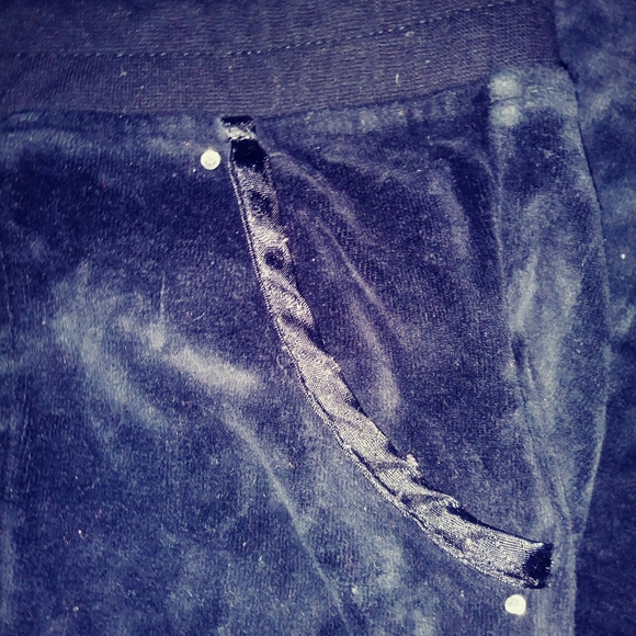 BCBG Velour Pants - Picture 4 of 16